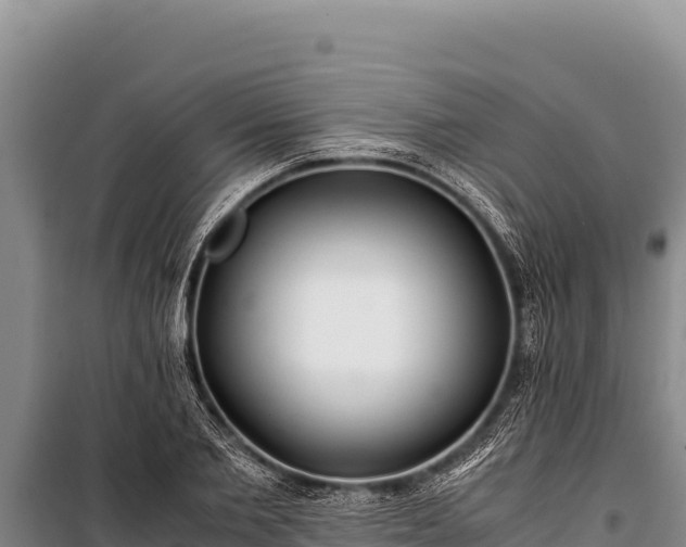 X0000100860885200806271157