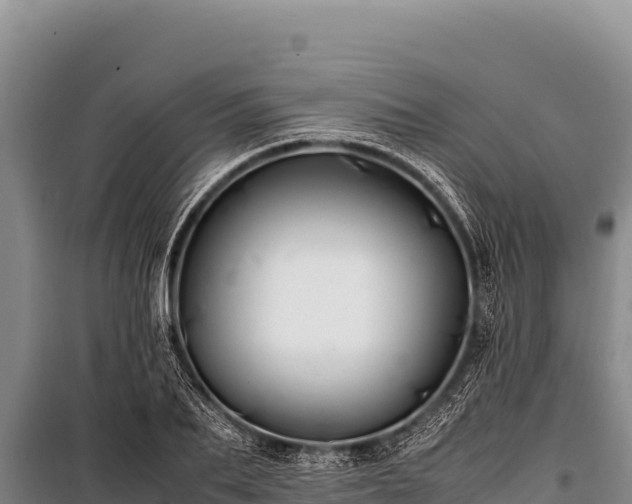 X0000100860887200806271157