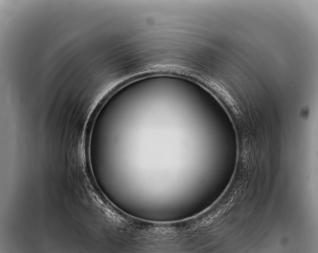 X0000100860888200806271157