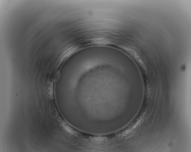 X0000100860889200806271157