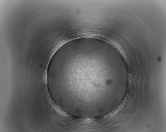 X0000100860891200806271157