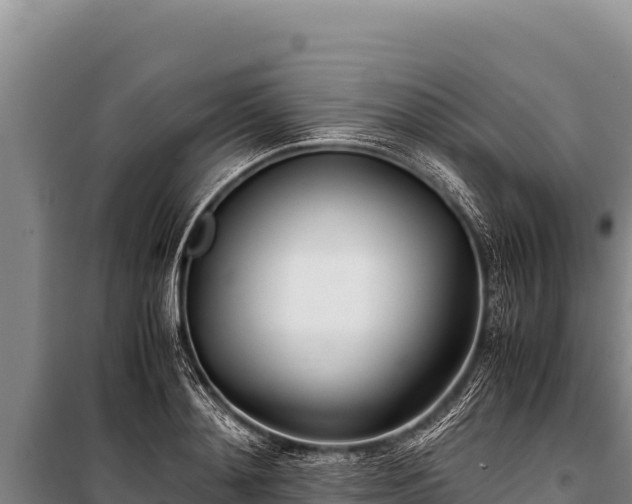 X0000100860892200806271157