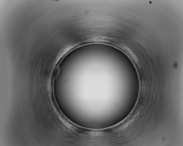 X0000100860893200806271157