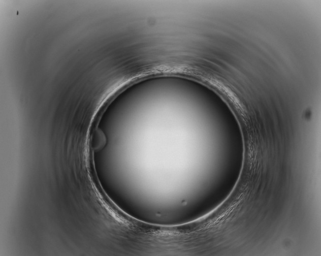 X0000100860894200806271157