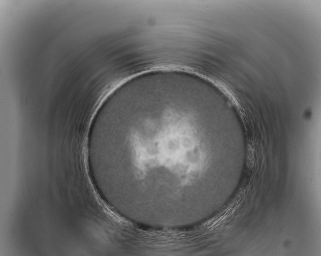 X0000100860895200806271157