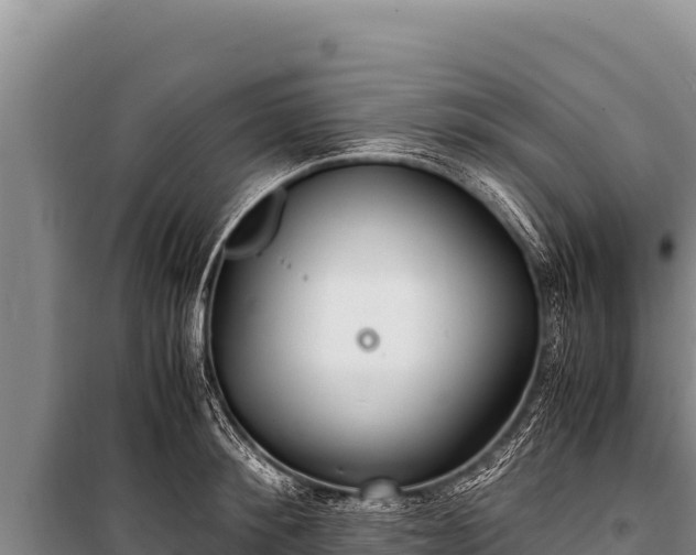 X0000100860900200806271157