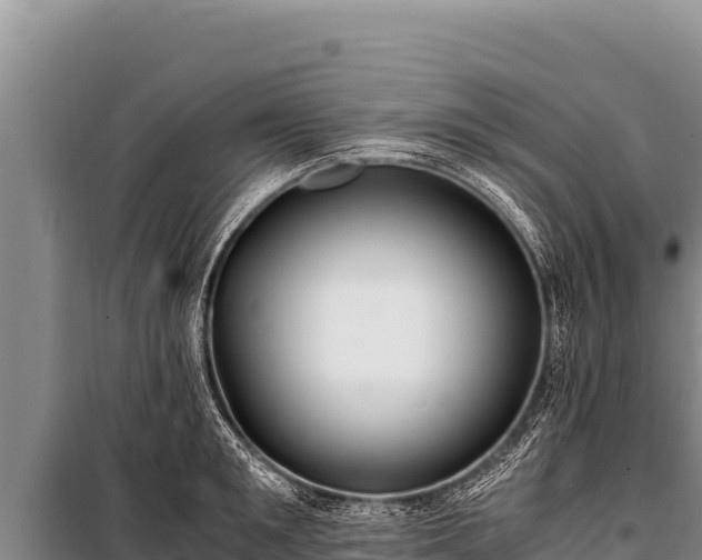 X0000100860901200806271157