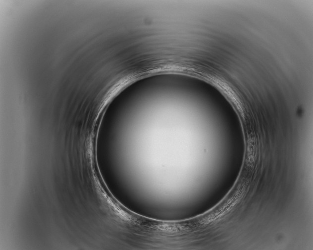 X0000100860906200806271157