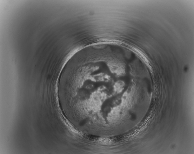 X0000100860907200806271157