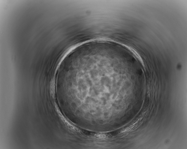 X0000100860911200806271157