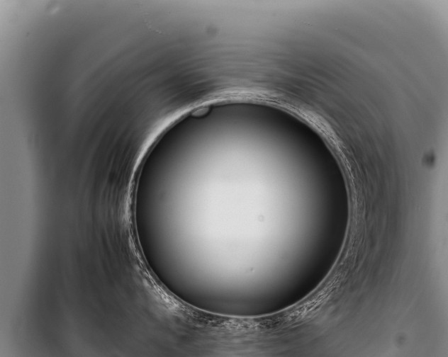 X0000100860912200806271157