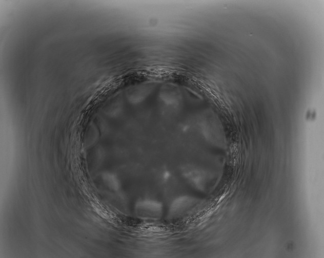 X0000100860913200806271156