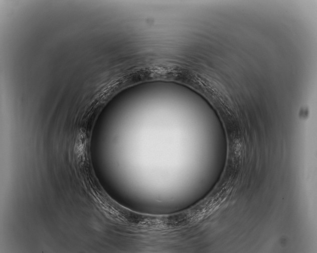 X0000100860914200806271156