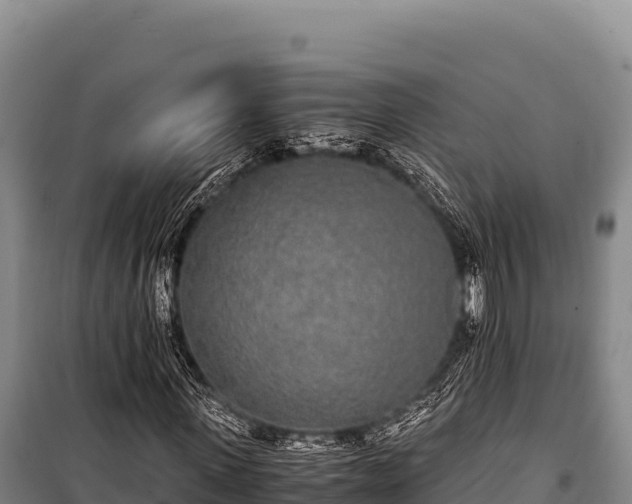 X0000100860915200806271156