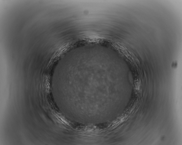 X0000100860916200806271156