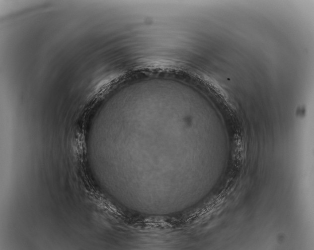 X0000100860918200806271156