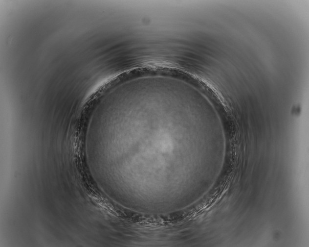 X0000100860919200806271156