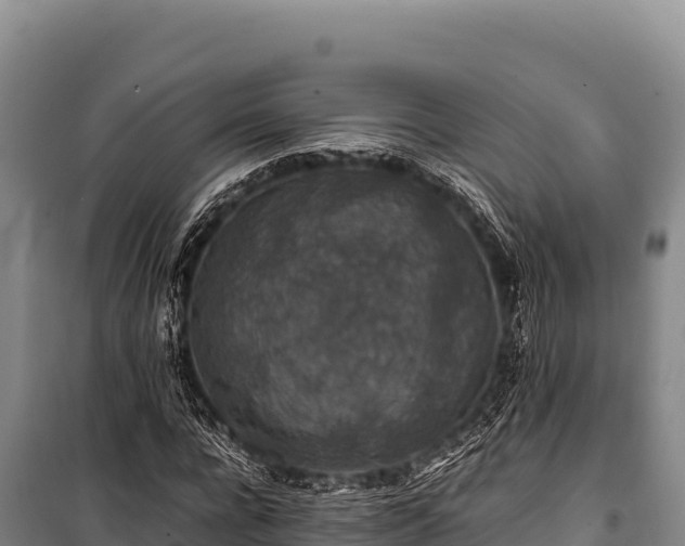 X0000100860920200806271156