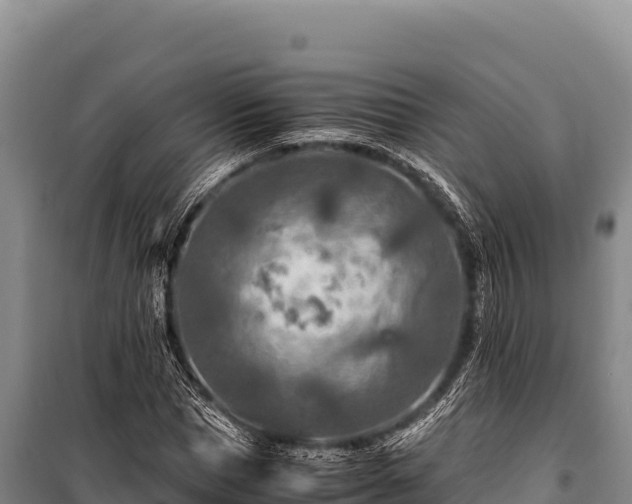 X0000100860921200806271156