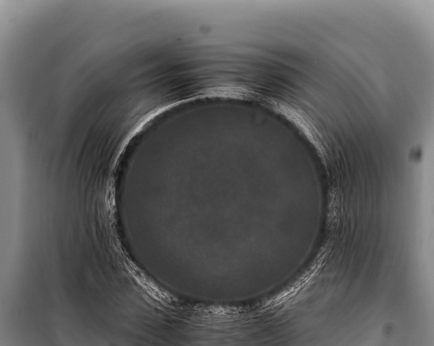 X0000100860923200806271156