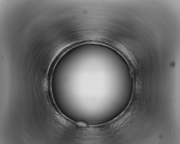 X0000100860924200806271156