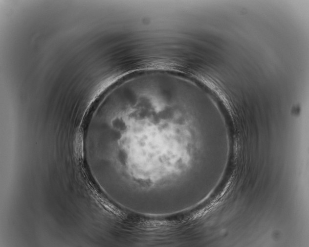 X0000100860925200806271156