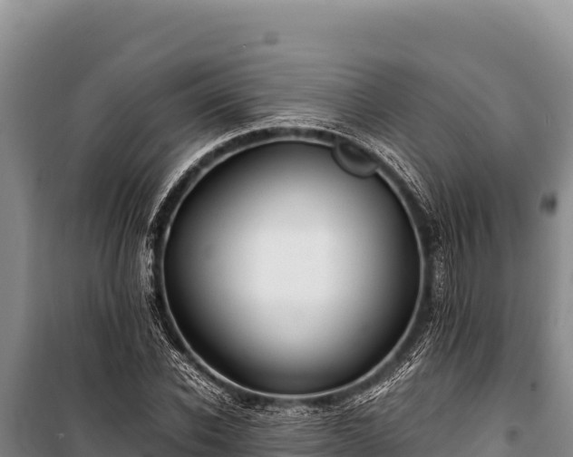 X0000100860926200806271156