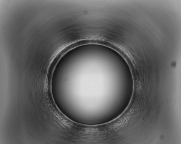 X0000100860927200806271156