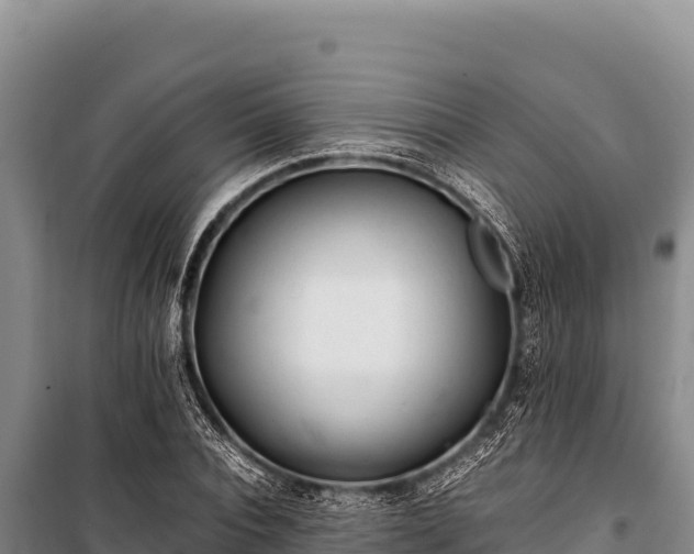 X0000100860928200806271156