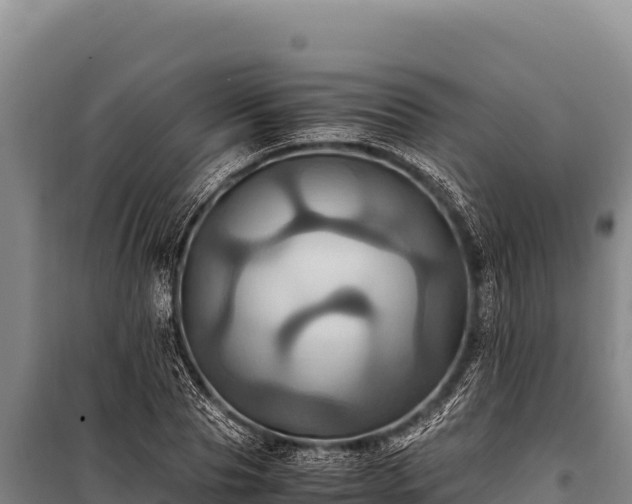 X0000100860929200806271156