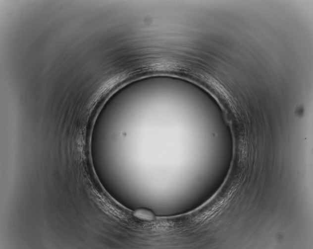 X0000100860930200806271156