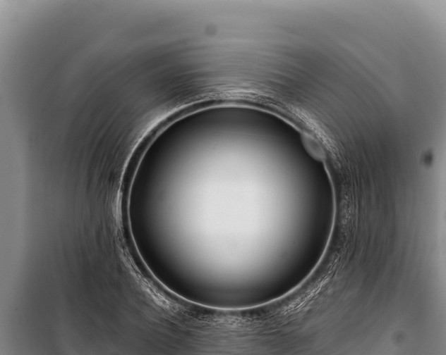 X0000100860932200806271156