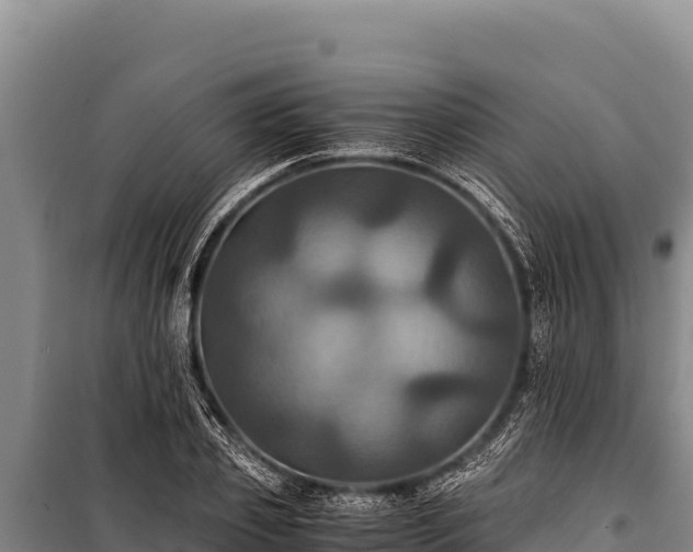 X0000100860933200806271156