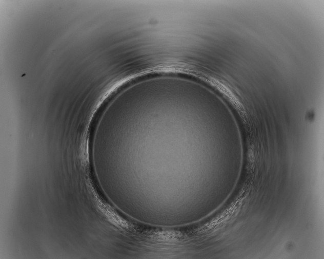 X0000100860934200806271156