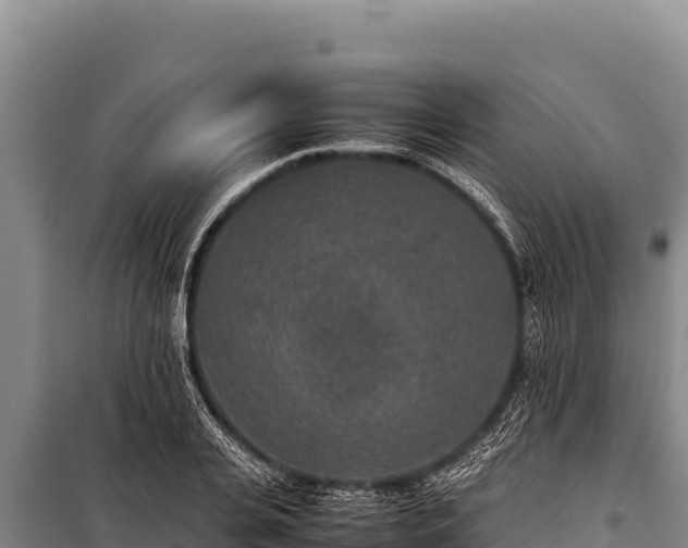 X0000100860935200806271156