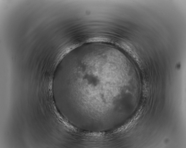 X0000100860937200806271157