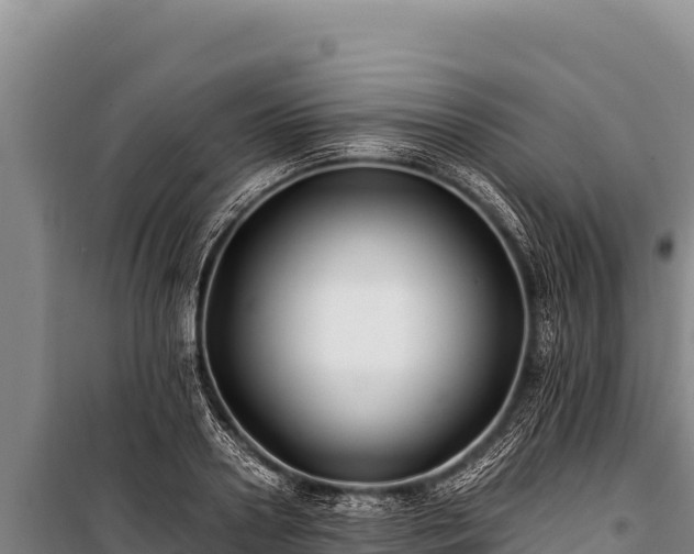 X0000100860938200806271157