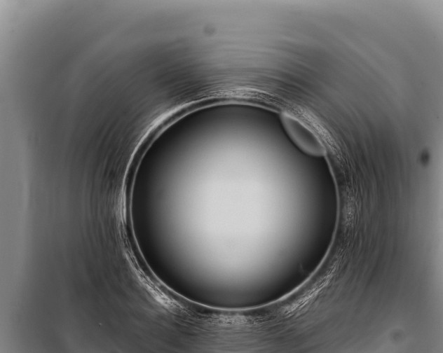 X0000100860940200806271157