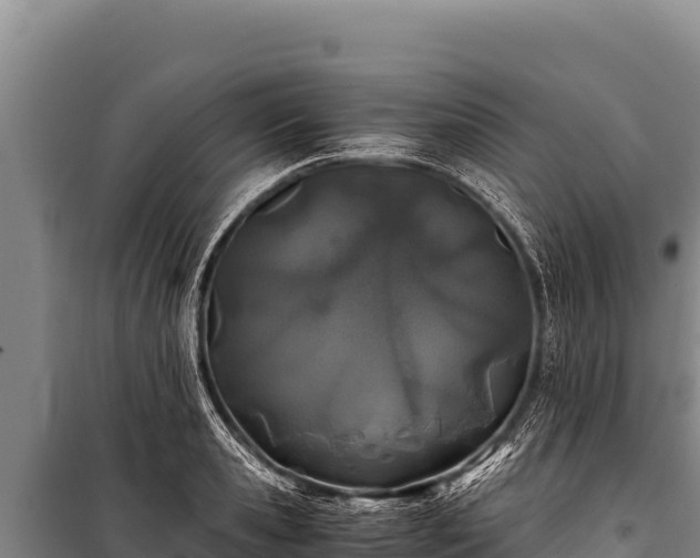 X0000100860941200806271157