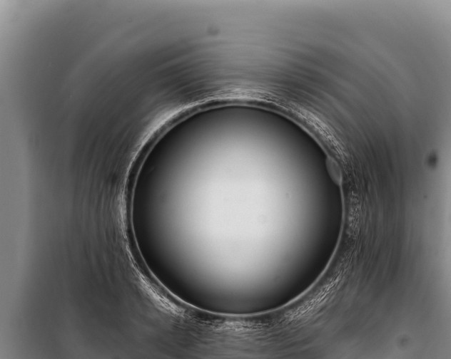 X0000100860942200806271157