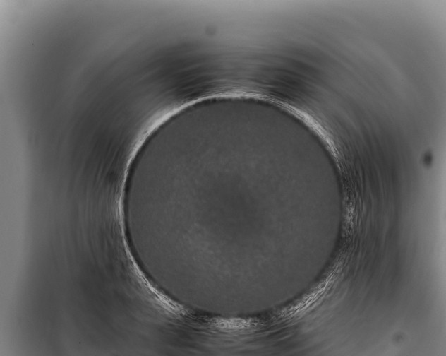 X0000100860943200806271157