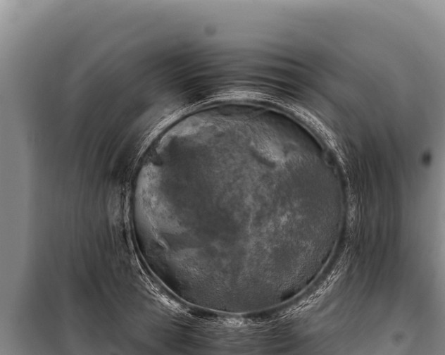 X0000100860945200806271157