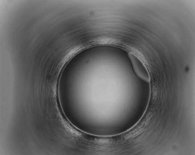 X0000100860946200806271157