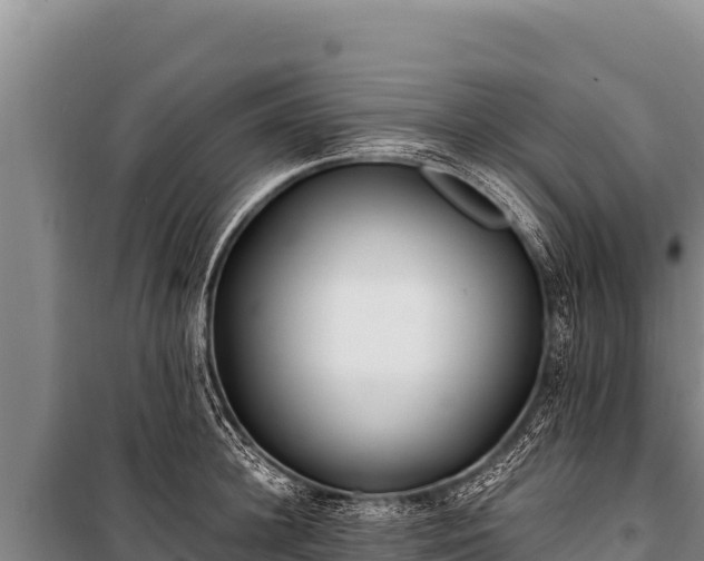 X0000100860948200806271157