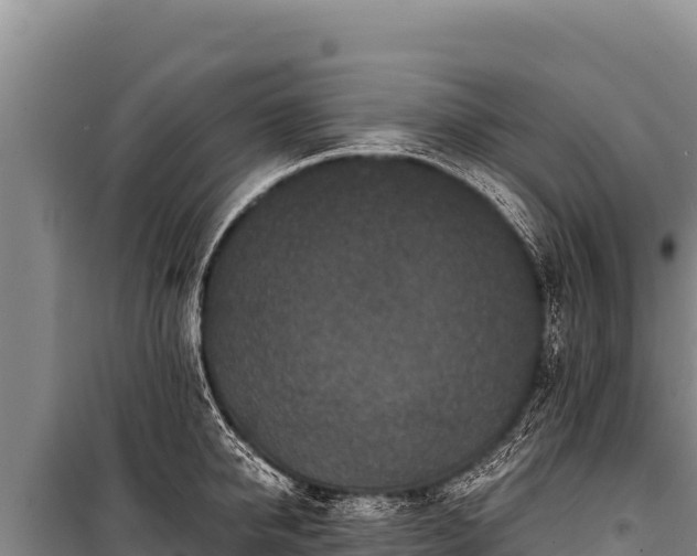 X0000100860950200806271157