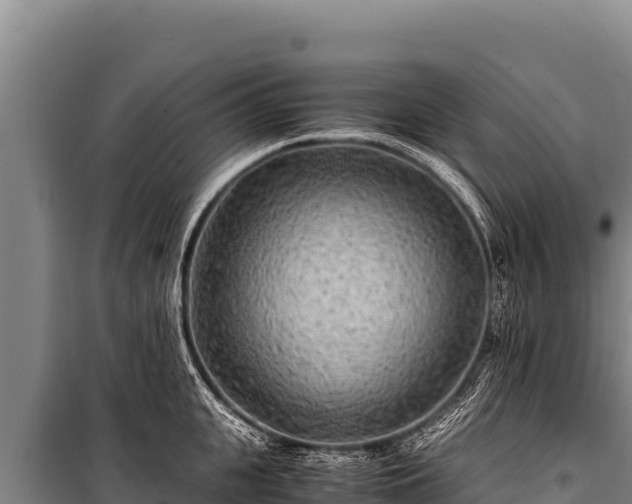 X0000100860951200806271157