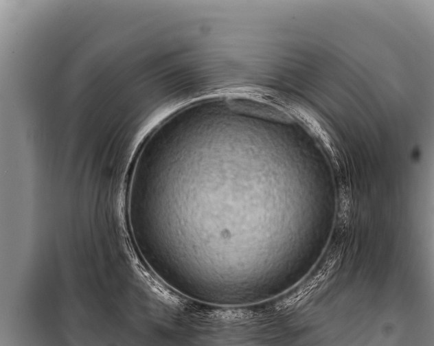 X0000100860952200806271157