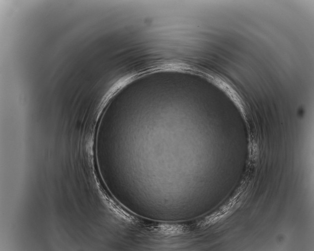 X0000100860954200806271157