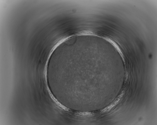 X0000100860957200806271157