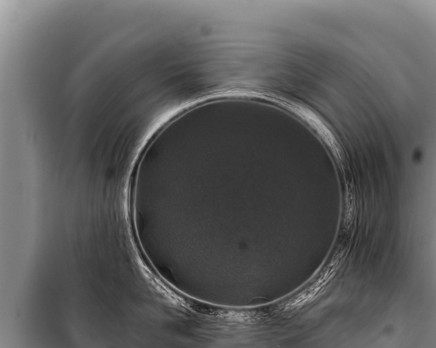 X0000100860958200806271157